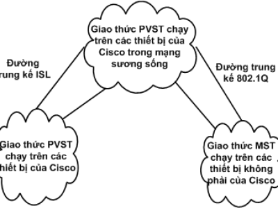 GIAO THỨC SPANNING TREE TRUYỀN THỒNG (TRADITIONAL SPANNING TREE - 802.1D) P3