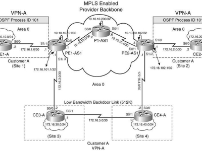 LAB: OSPF Sham-Links