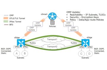 Overlay Management Protocol (OMP)