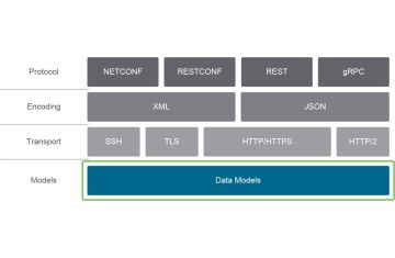 API – Khởi Đầu Cho Tự Động Hóa