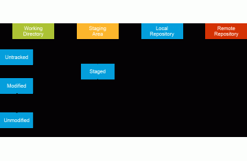 Branching Strategies (Chiến lược phân nhánh) (PHẦN 2)