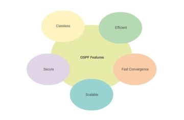 Chương 7: OSPF