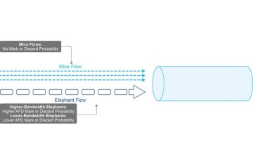 Cisco Nexus 9000 và Quản lý Bộ Đệm Thông Minh – Tại sao không chỉ “càng to càng tốt”?