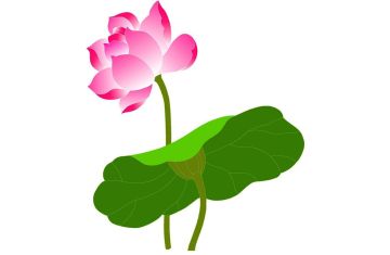 Dữ liệu ngày 3/11/2017