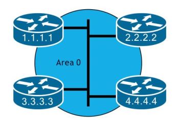 Giới thiệu OSPF Neighbour – Hiểu đúng từ đầu để không lạc đường!