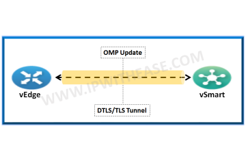 Giới thiệu về giao thức OMP trong Cisco SDWAN