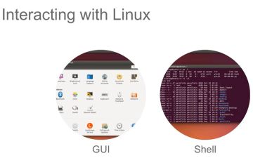 Hai cách để tương tác với Linux – GUI vs CLI