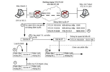 Hiểu rõ quá trình Router định tuyến gói tin IP - Kiến thức nền tảng nhưng ít người nắm chắc!