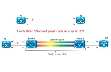 Layer 1 Failure Detection trong Ethernet – Khi Liên Kết Vật Lý Không “Thật Thà” Như Bạn Nghĩ