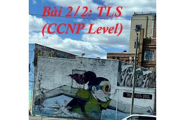 SSL & TLS: GIAO THỨC Mã Hóa Chiến Lược Cho CCNP: CÓ ỨNG DỤNG TRONG SDWAN, DATACENTER, VOICE, CYBERSECURITY, WIRELESS