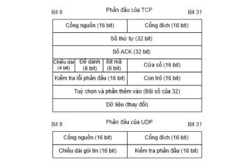 TCP vs UDP – Cặp shipper kinh điển trong thế giới mạng mà kỹ sư nào cũng phải hiểu!