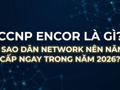CCNP ENCOR LÀ GÌ? VÌ SAO DÂN NETWORK NÊN NÂNG CẤP NGAY TRONG NĂM 2026?