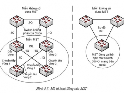 MSTP được sử dụng như thế nào trong hệ thống mạng? 
