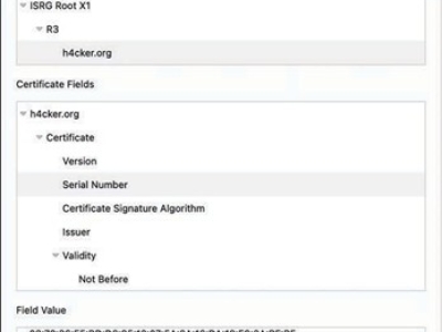 Hiểu Về Certificate Authority và Vai Trò CA server Trong PKI