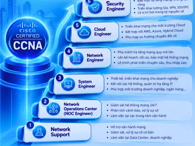 Học CCNA Ra Làm Gì? Top 6 Vị Trí Việc Làm IT Thu Nhập Cao