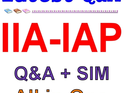 IIA-IAP – Tâm Điểm Bắt Đầu Của Kiểm Toán