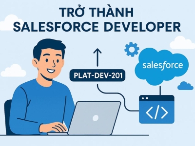 Salesforce Platform Developer I (PLAT-DEV-201)