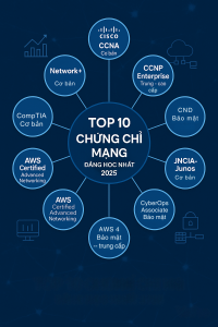 Top 10 Chứng Chỉ Mạng Đáng Học Nhất 2025