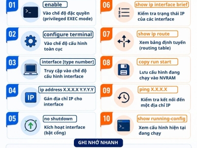 Top 10 Lệnh CCNA Cơ Bản Phải Biết Cho Người Mới Bắt Đầu IT Network