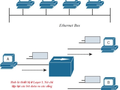 Từ Hub đến Bridge: Hành Trình Thoát Khỏi Collision Domain
