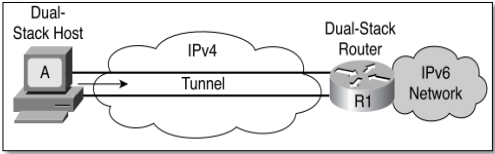 Host den router