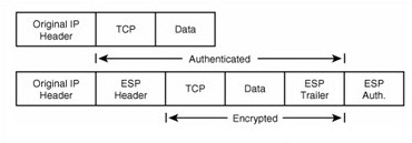 Hình 2.8 Gói IP được bảo vệ bởi ESP trong chế độ Transport