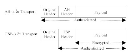 Gói tin IP ở Transport mode