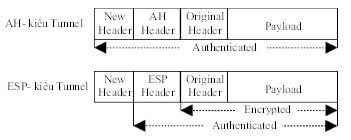 Gói tin IP ở Tunnel mode
