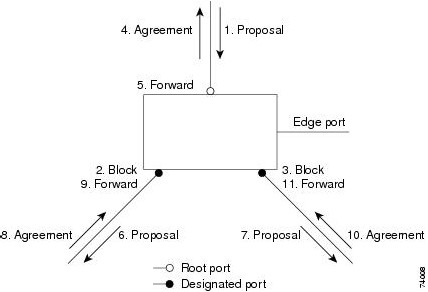 Hình 5.2. Quá trình đồng bộ của Port Role