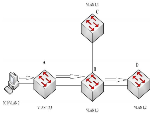 Ung dung cong nghe VTP Prunning