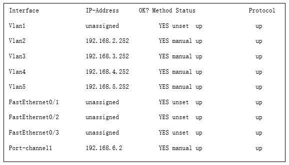 show ip interface brief