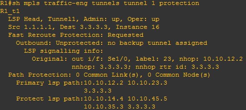 show mpls traffic-eng tunnels tunnel 1 protection