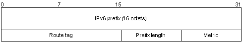 the format of the IPv6 prefix RTE