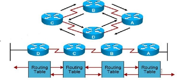 Các bảng định tuyến thực hiện routing-update