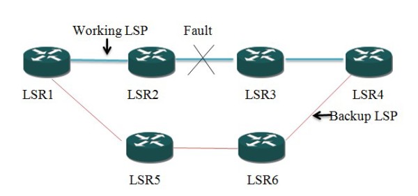 Phục hồi một phần đường LSP