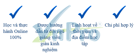 Strength_VnPro_16082016